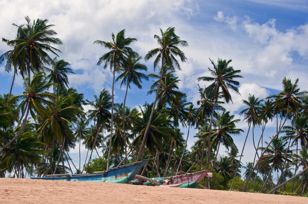 Sanjis The Seaside Cabanas Tangalle Dış mekan fotoğraf